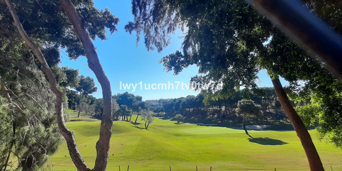 Property main view 54