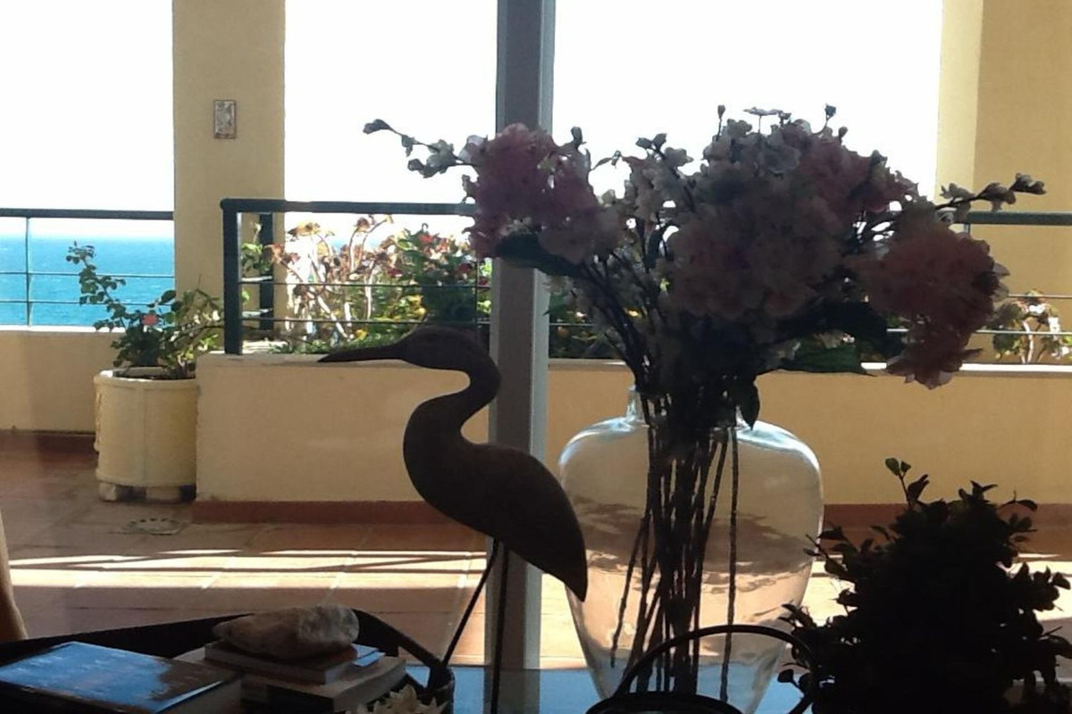 Property main view 24