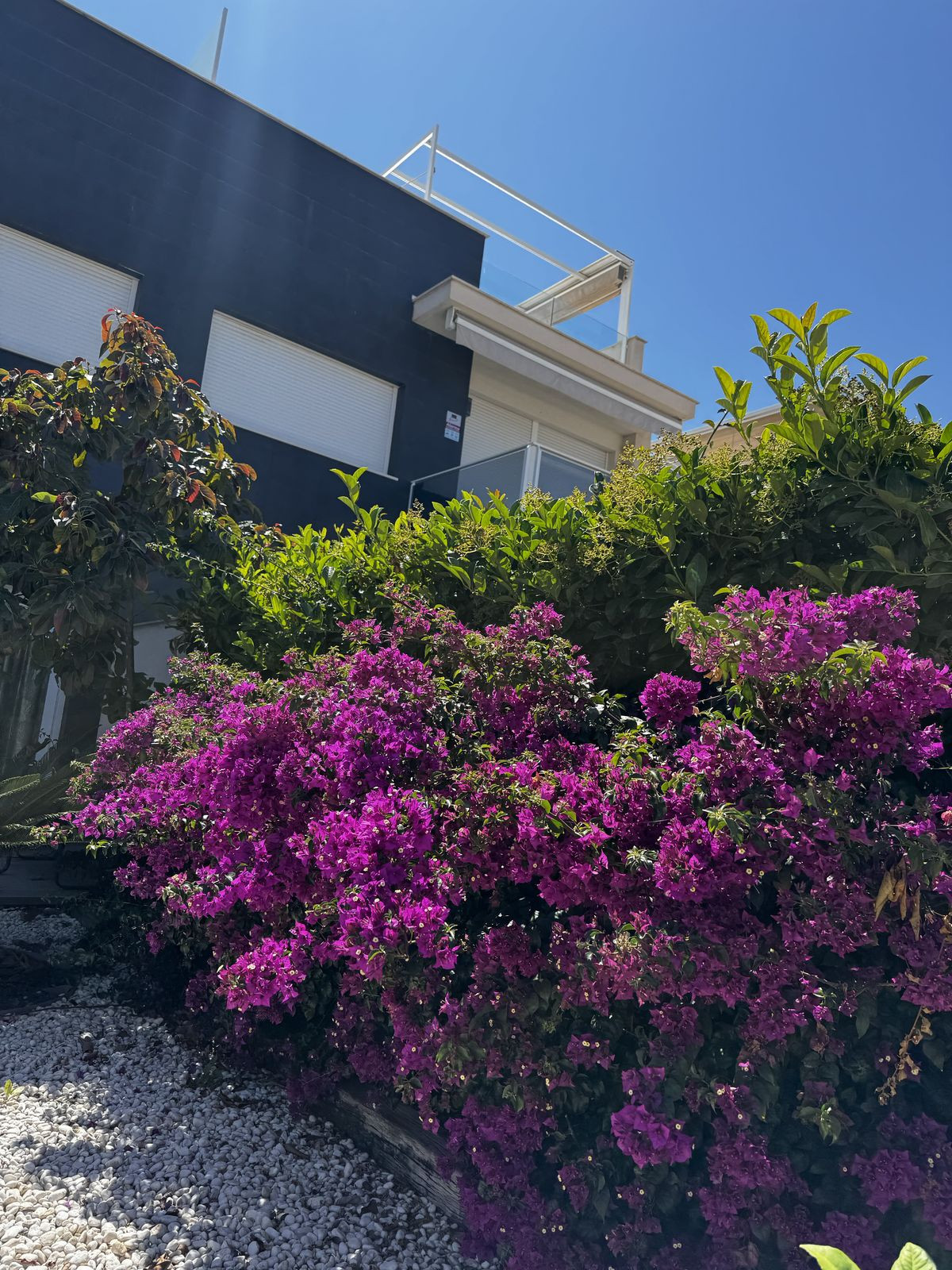 Property main view 28