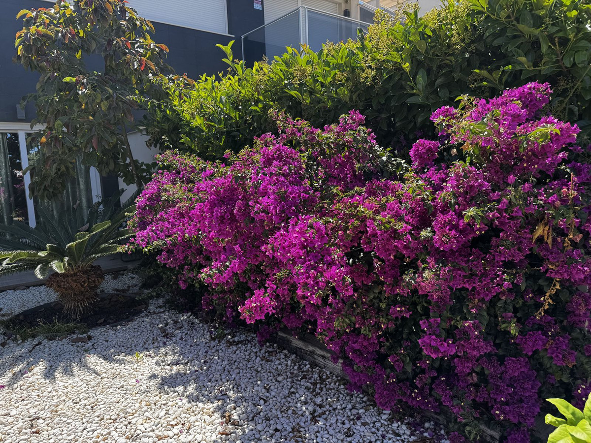 Property main view 44