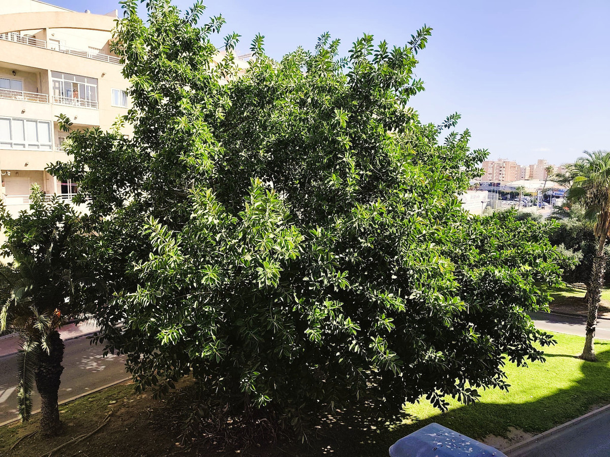 Property main view 20