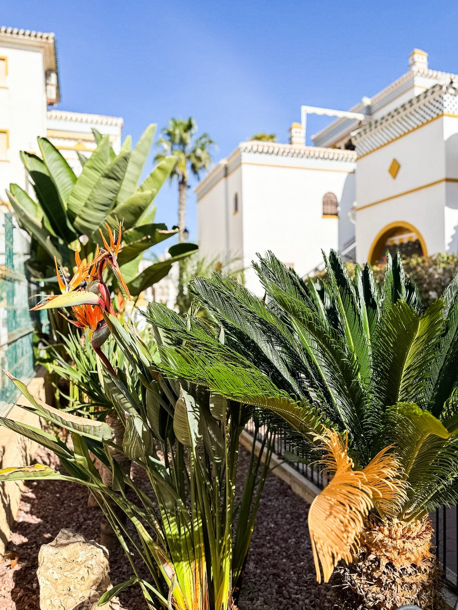 Property main view 39