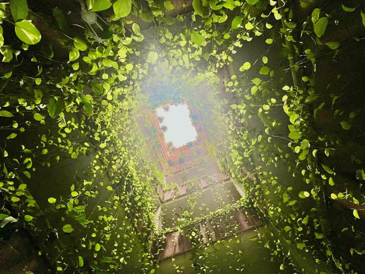 Property main view 10