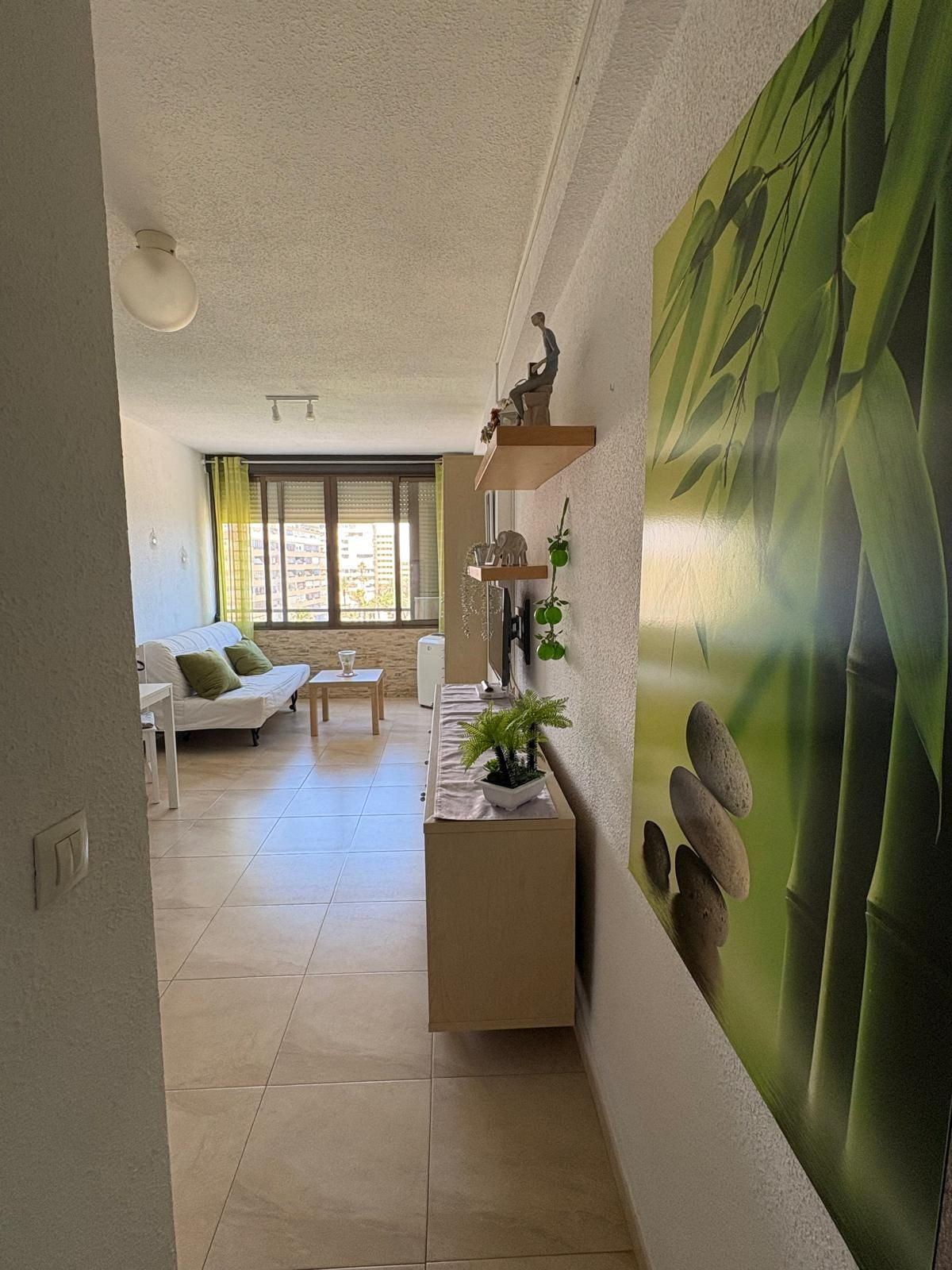 Appartement te koop in Torrevieja | 1 slaapkamers H5393032