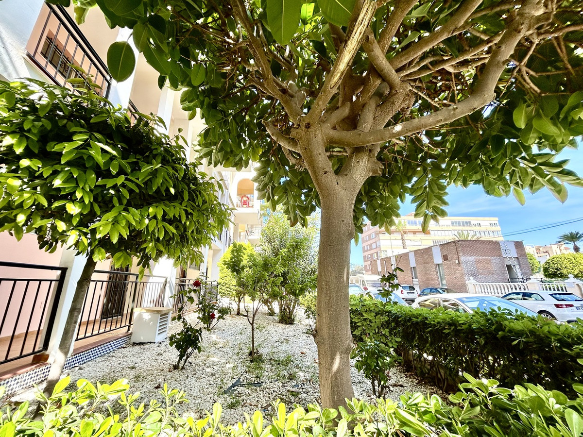 Appartement te koop in Torrevieja | 1 slaapkamers H5395285