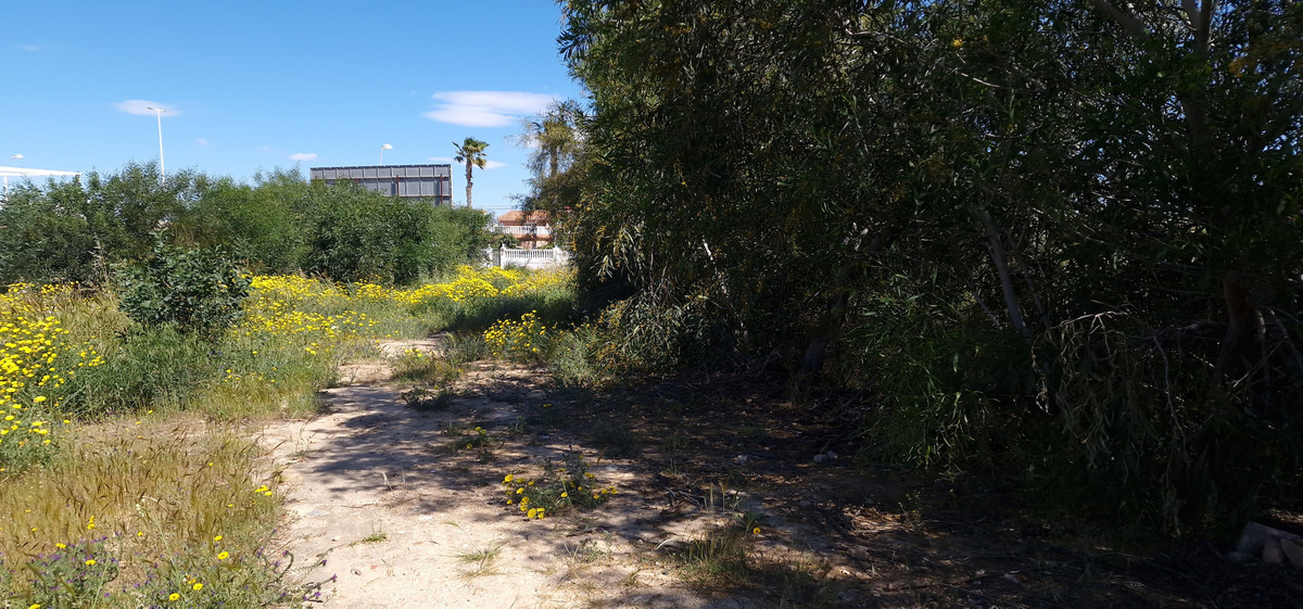 Percelen te koop in Torrevieja | 0 slaapkamers H5396782