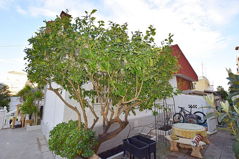 Appartement te koop in Torrevieja | 3 slaapkamers H5456338