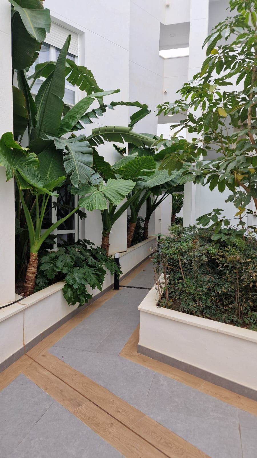 Property main view 6