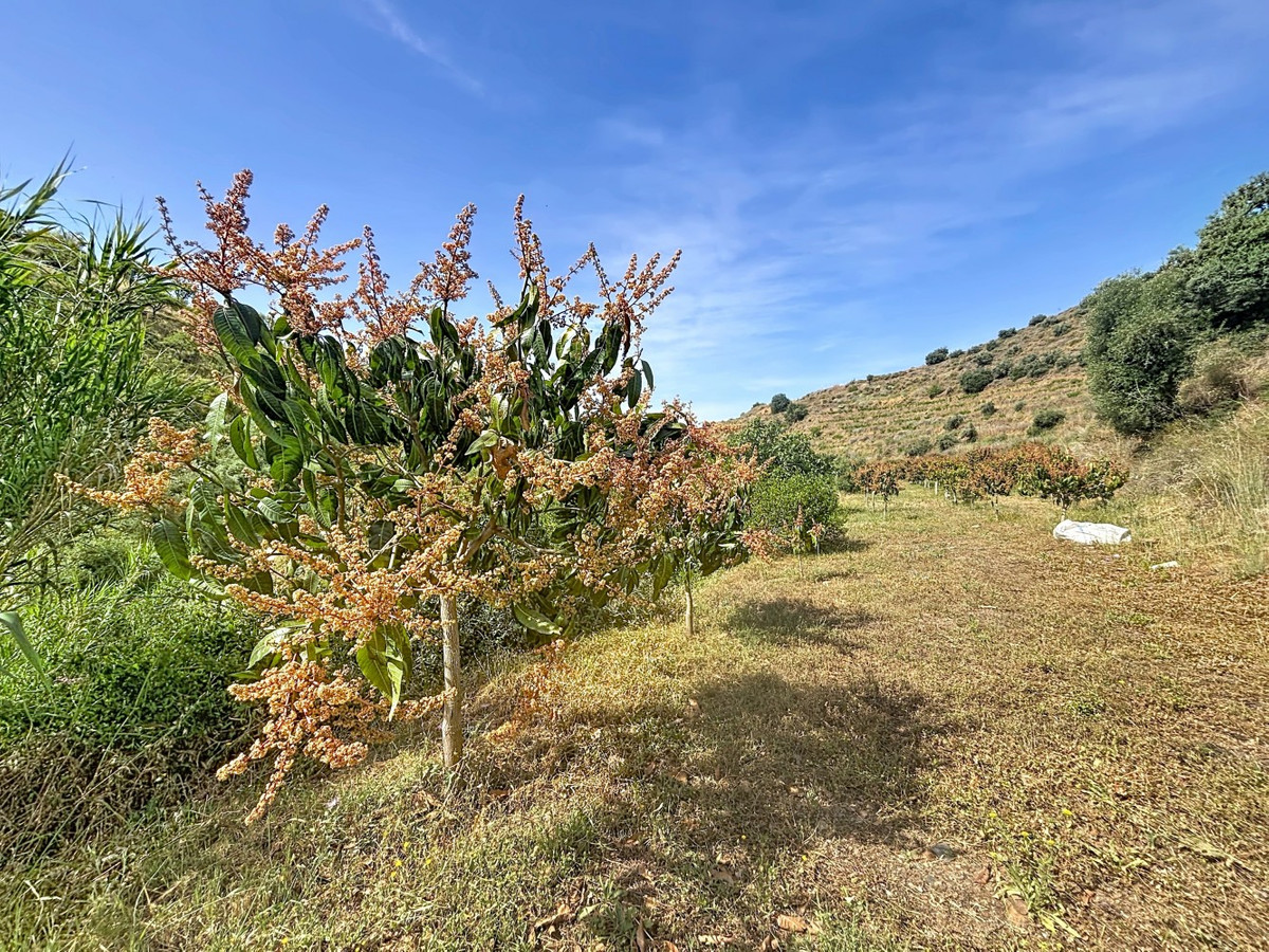 Property main view 14