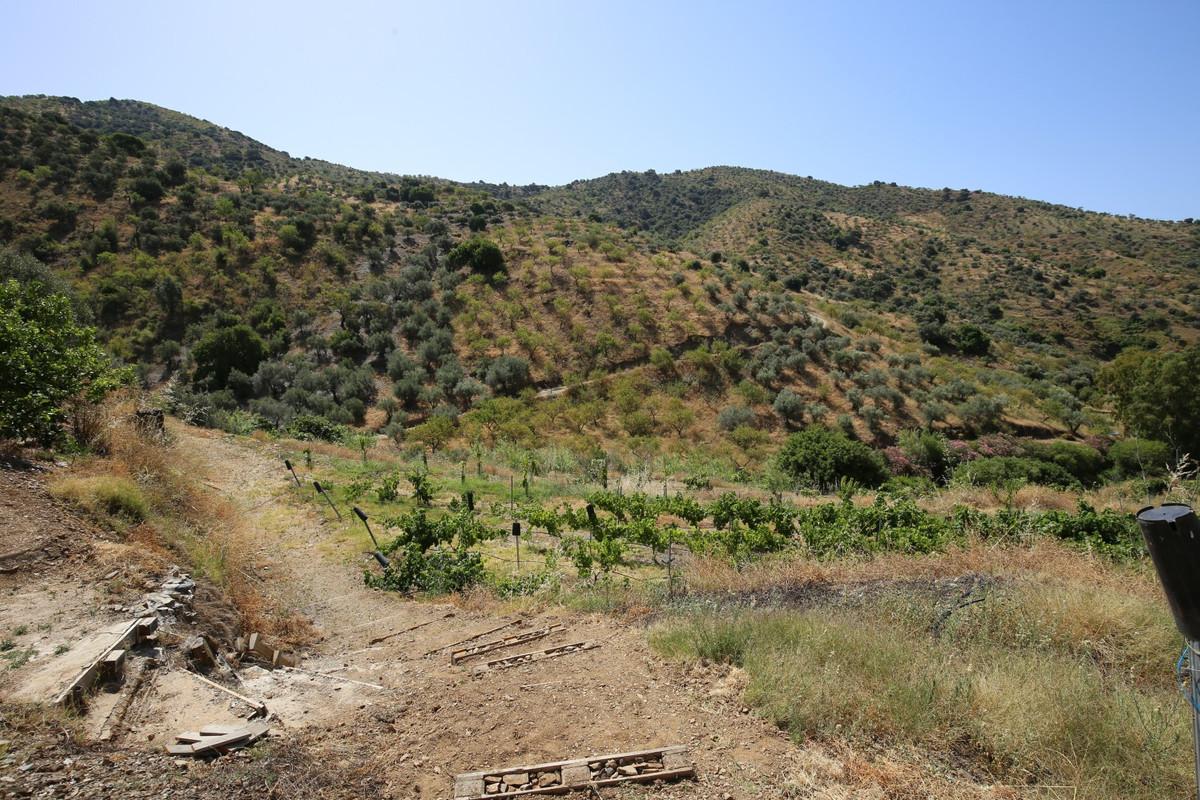 Property main view 19