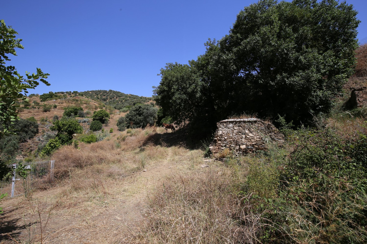 Property main view 23