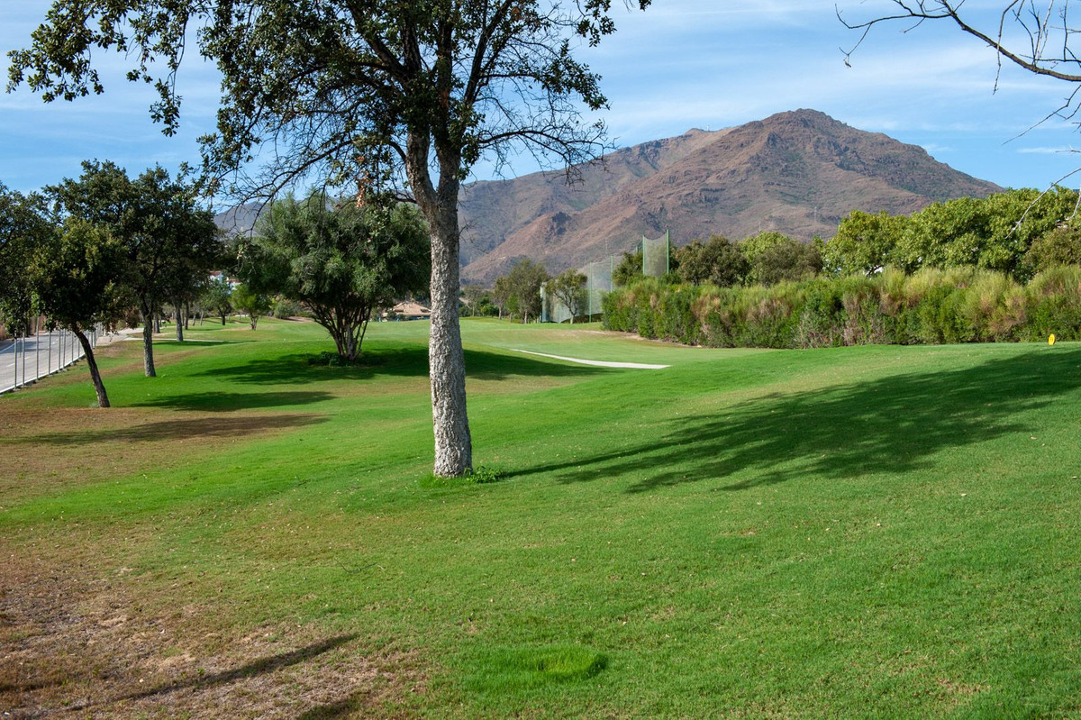 Property main view 24