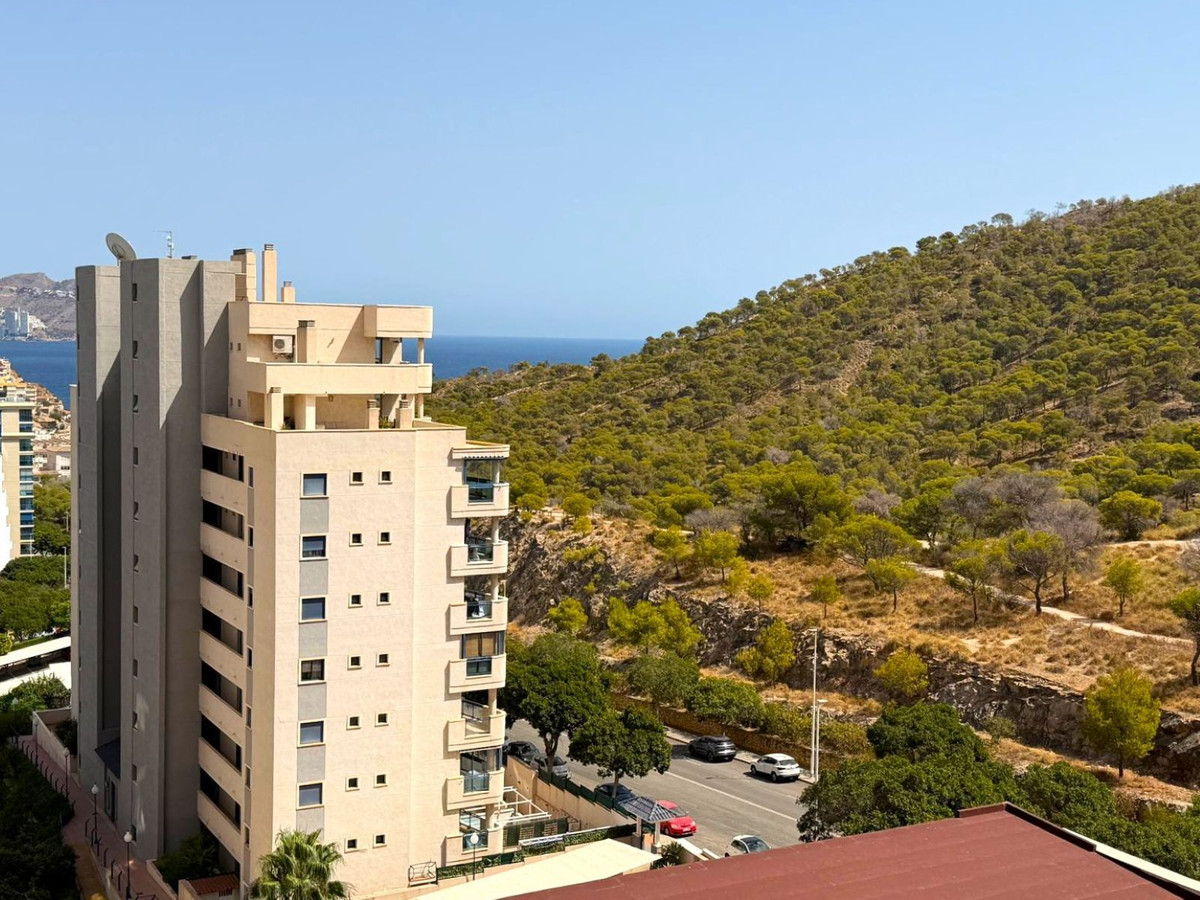 Property main view 15