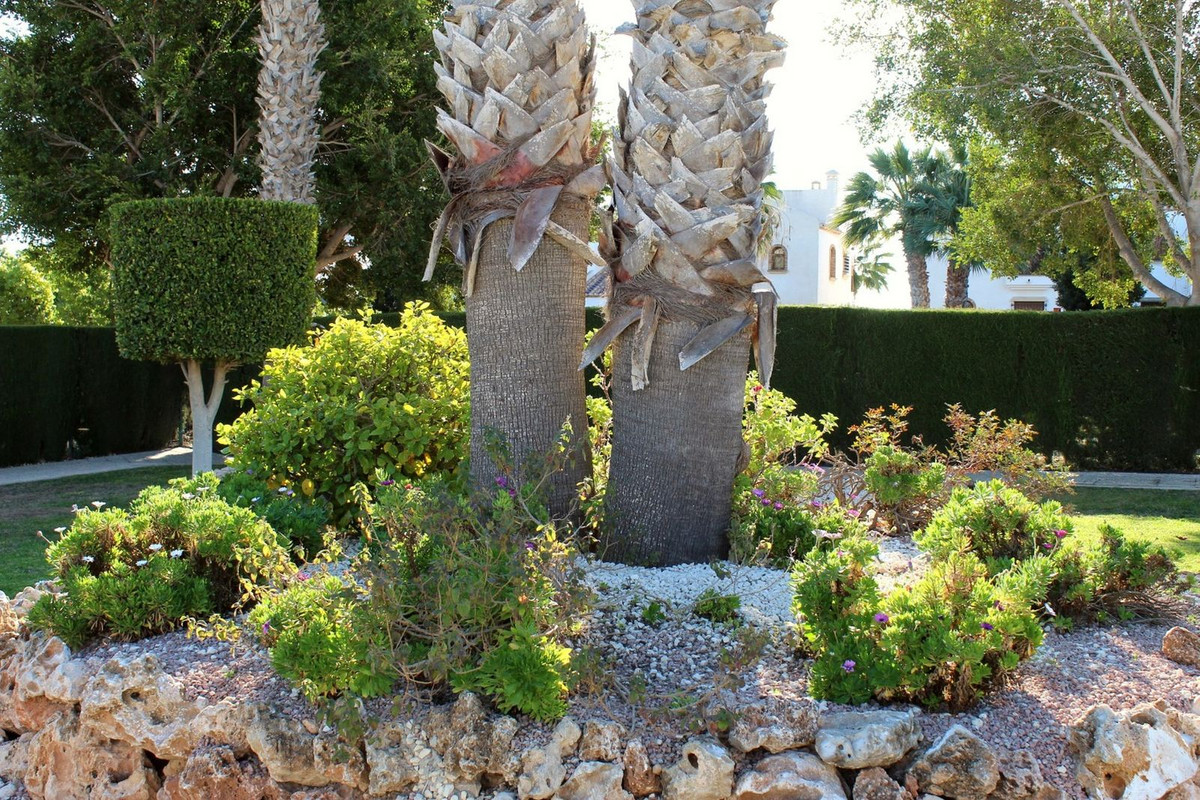 Appartement te koop in Villamartin | 3 slaapkamers H5351590