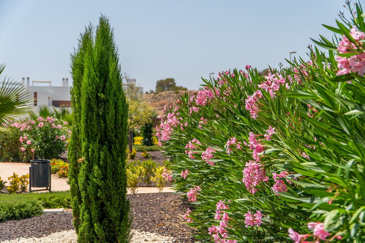 Property main view 34