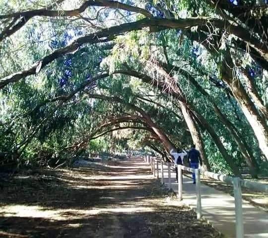 Property main view 11