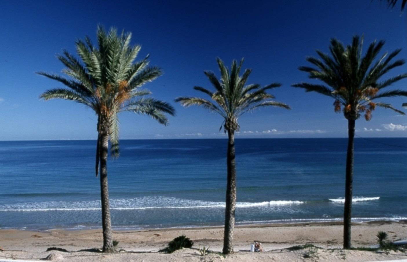 Property main view 9