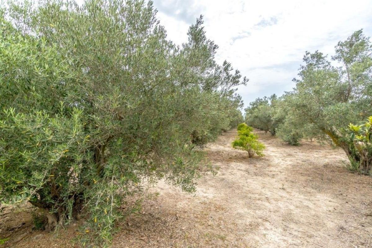 Property main view 29