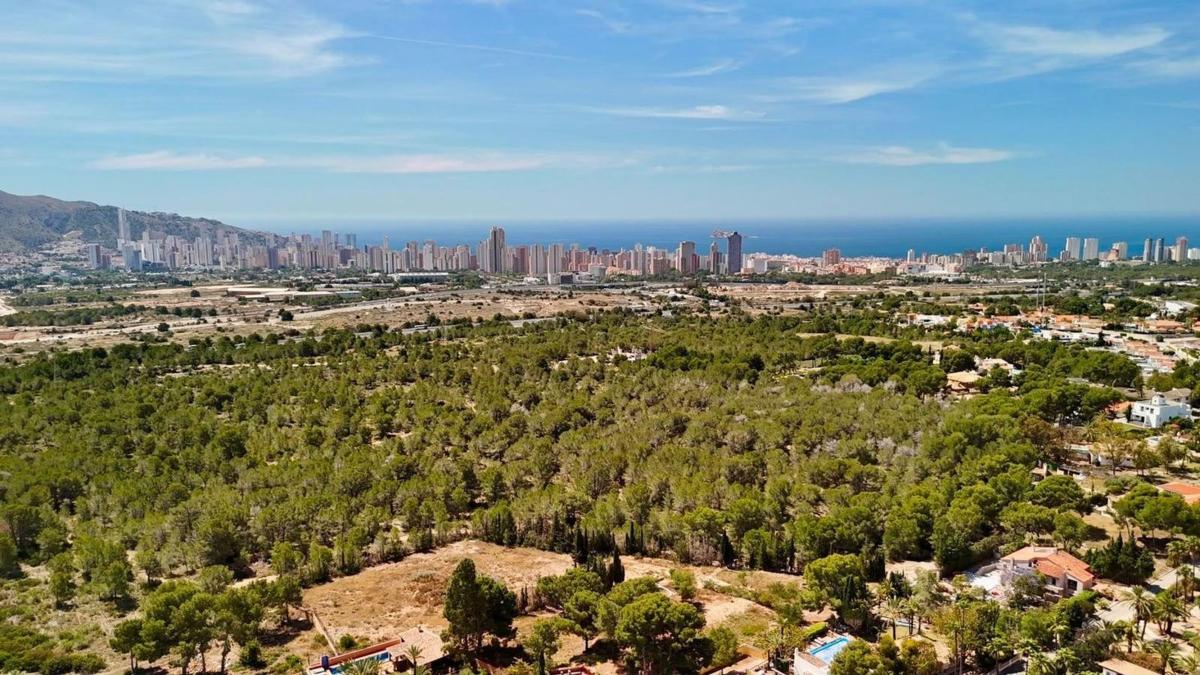 Property main view 23