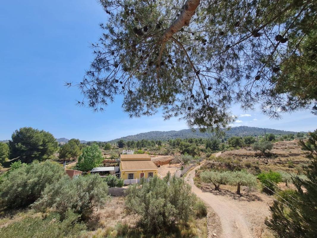 casas te koop in Monovar | 3 slaapkamers H553738