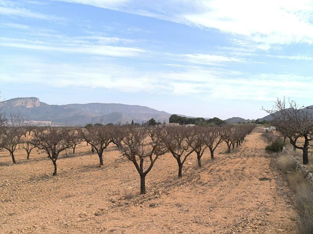 casas te koop in Monovar | 3 slaapkamers H622953