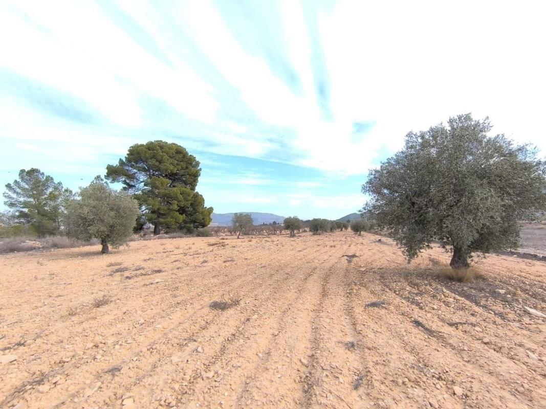 casas te koop in Monovar | 3 slaapkamers H622953