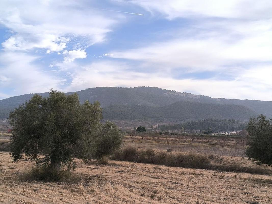 Property main view 10