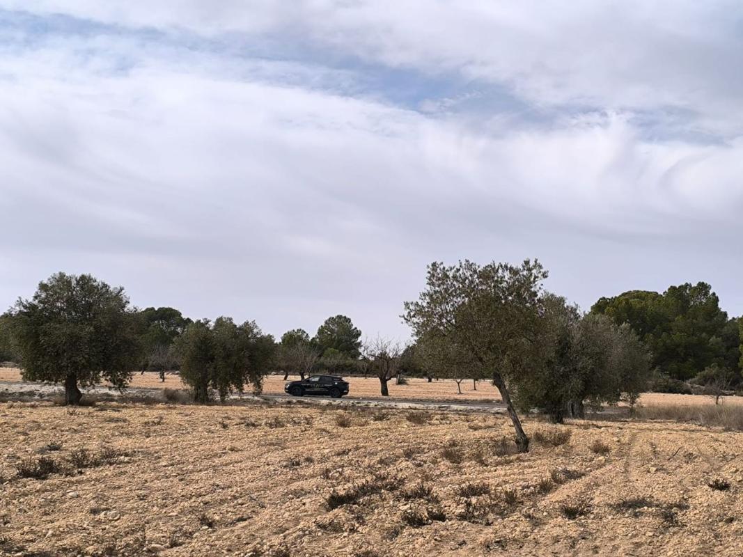 Property main view 8