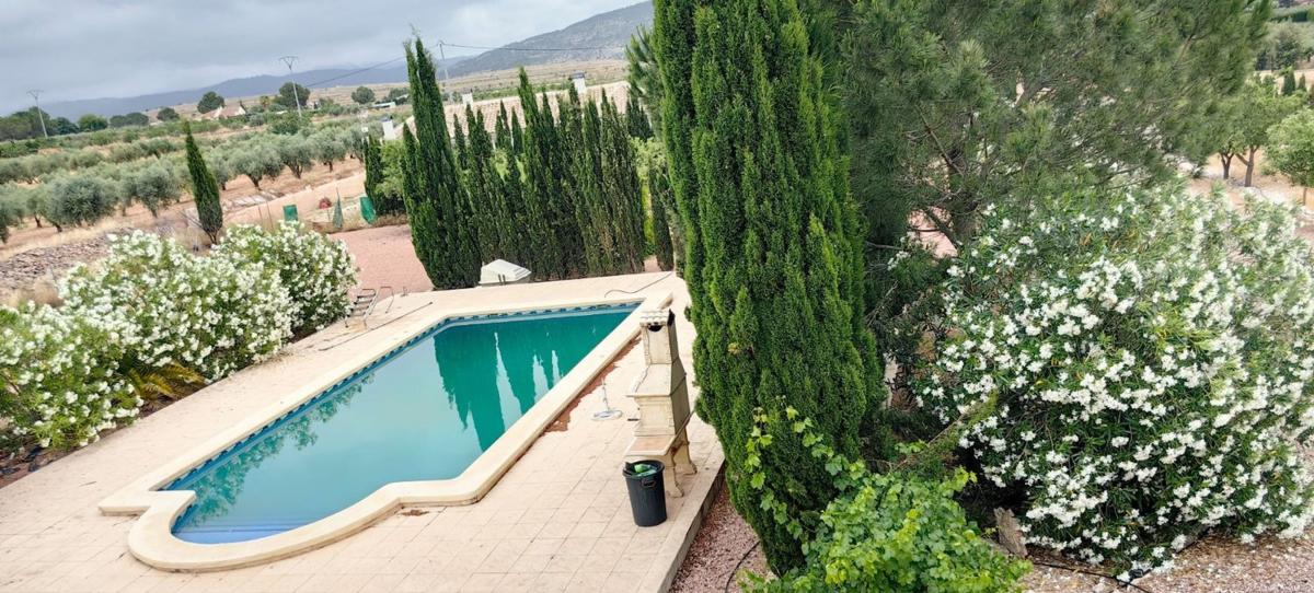 casas te koop in Pinoso | 3 slaapkamers H527578