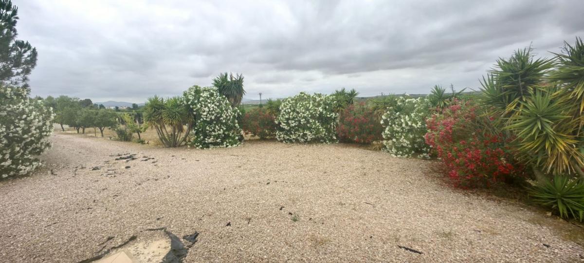 casas te koop in Pinoso | 3 slaapkamers H527578