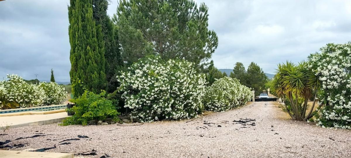 casas te koop in Pinoso | 3 slaapkamers H527578