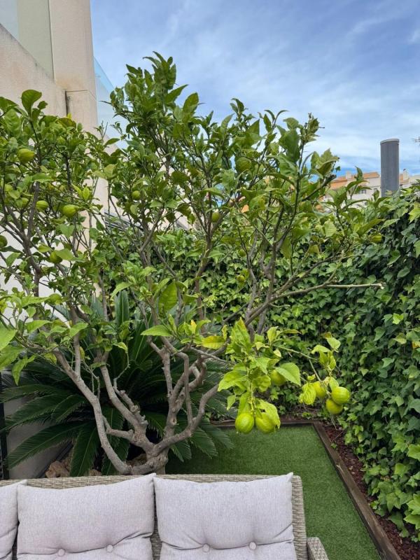 Property main view 30