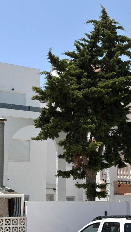 Property main view 7