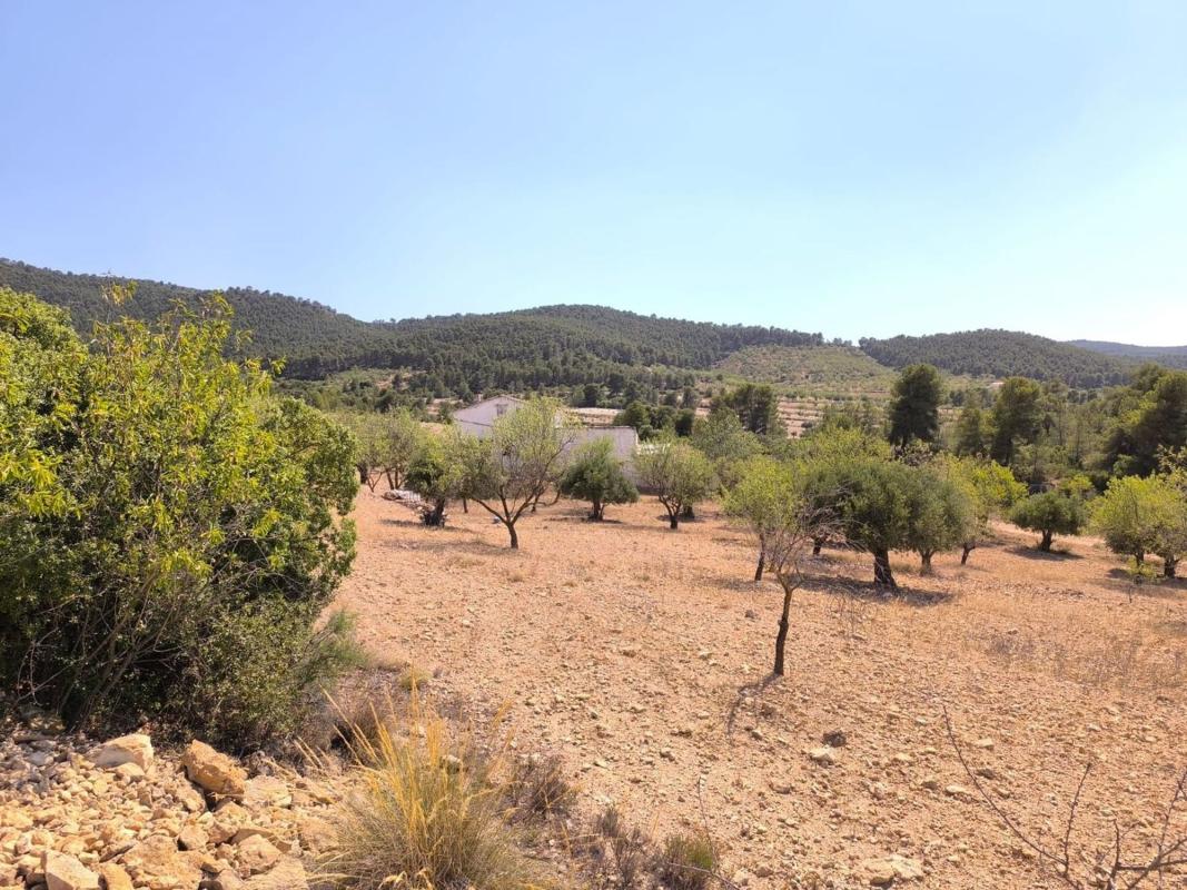 casas te koop in Villena | 4 slaapkamers H477911