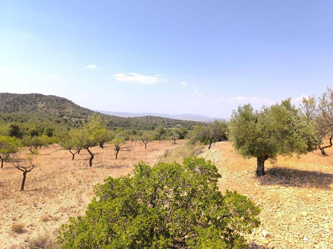 casas te koop in Villena | 4 slaapkamers H477911