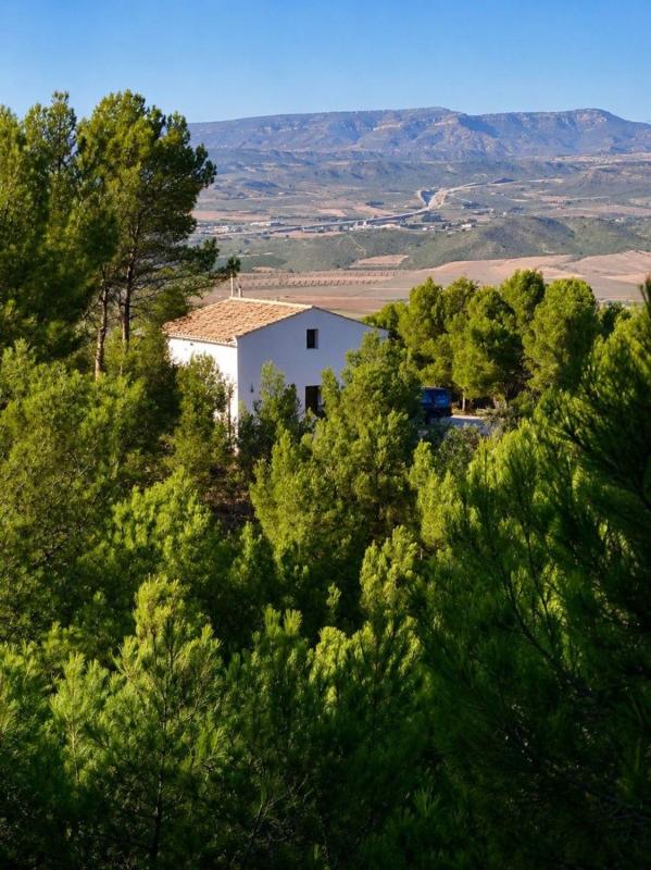 Property main view 2