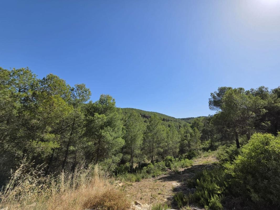 Property main view 30