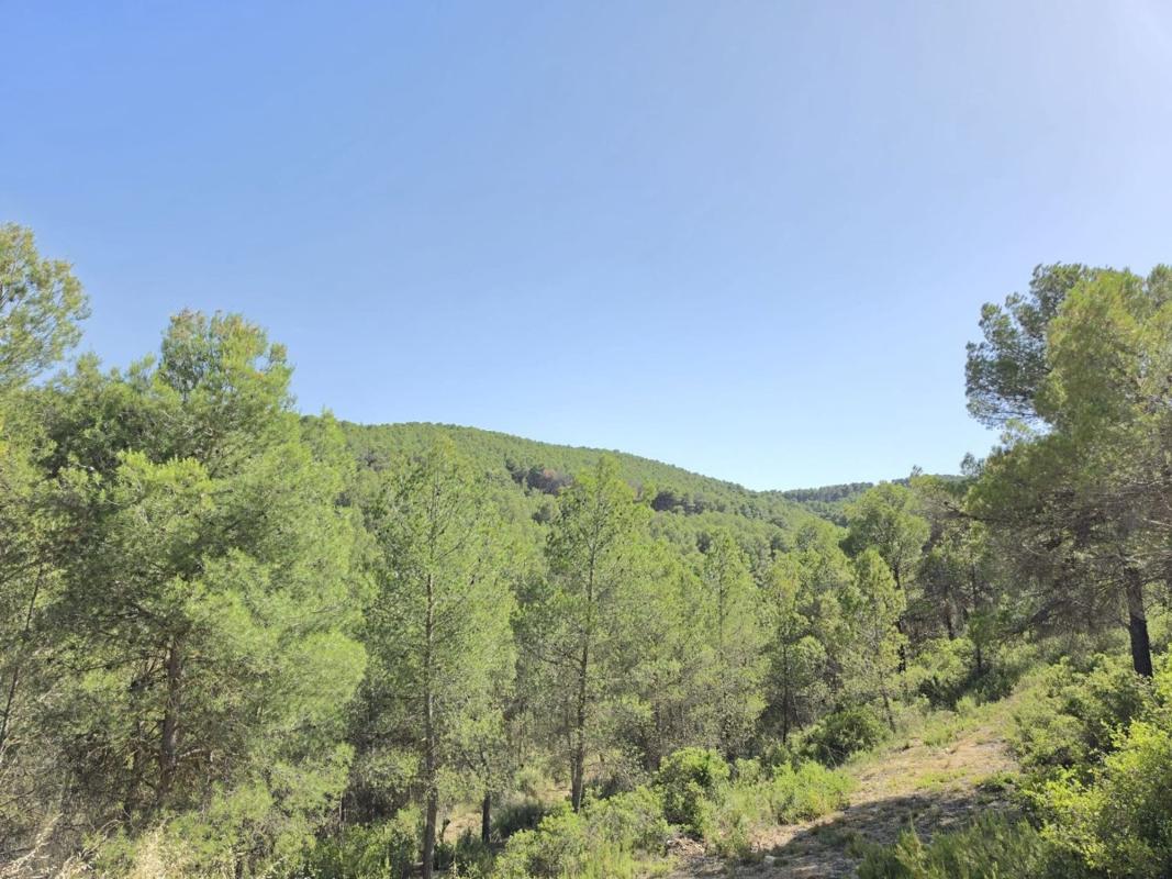 Property main view 6