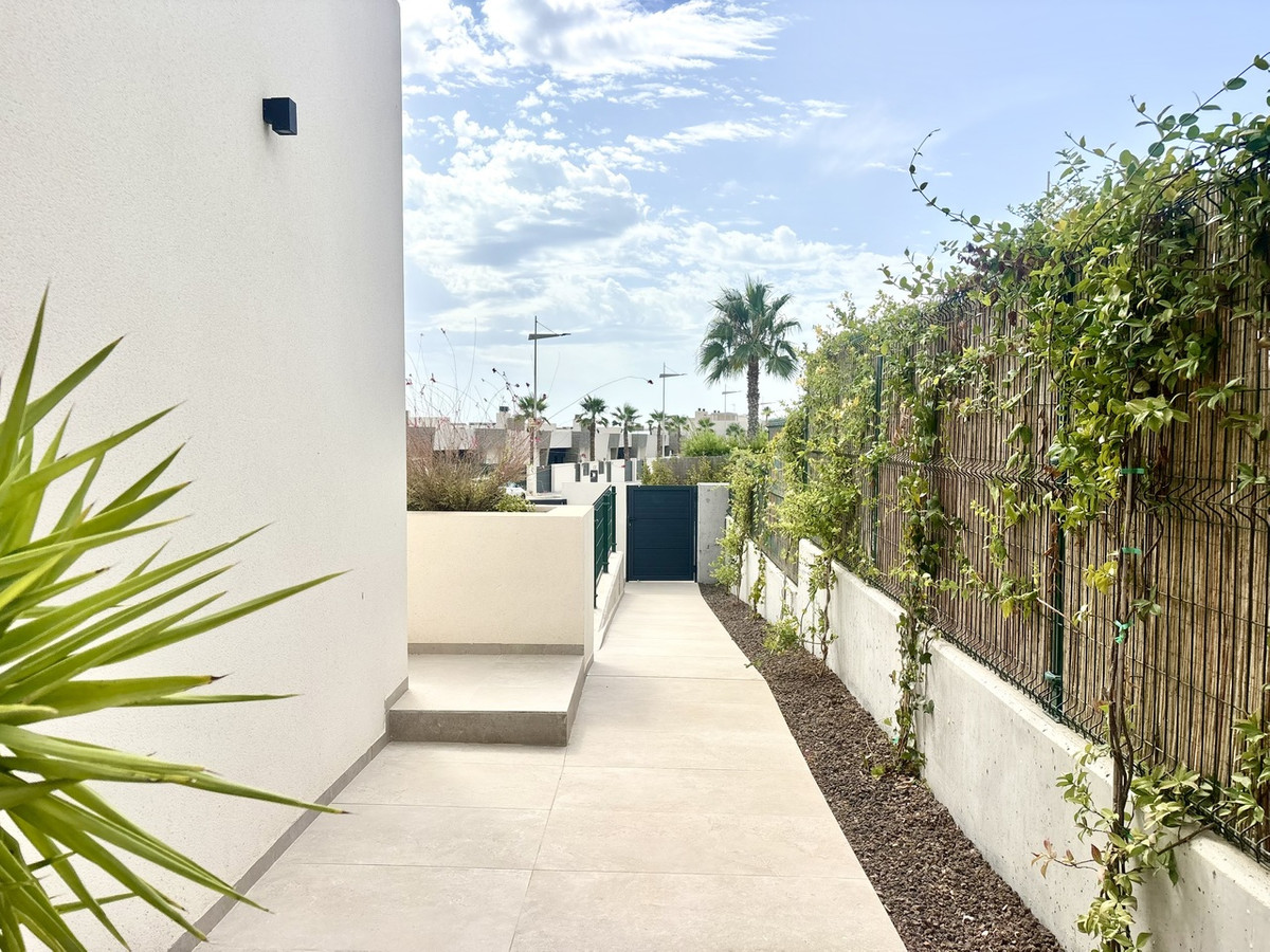 Nachtclub te koop in Algorfa | 4 slaapkamers H5464975