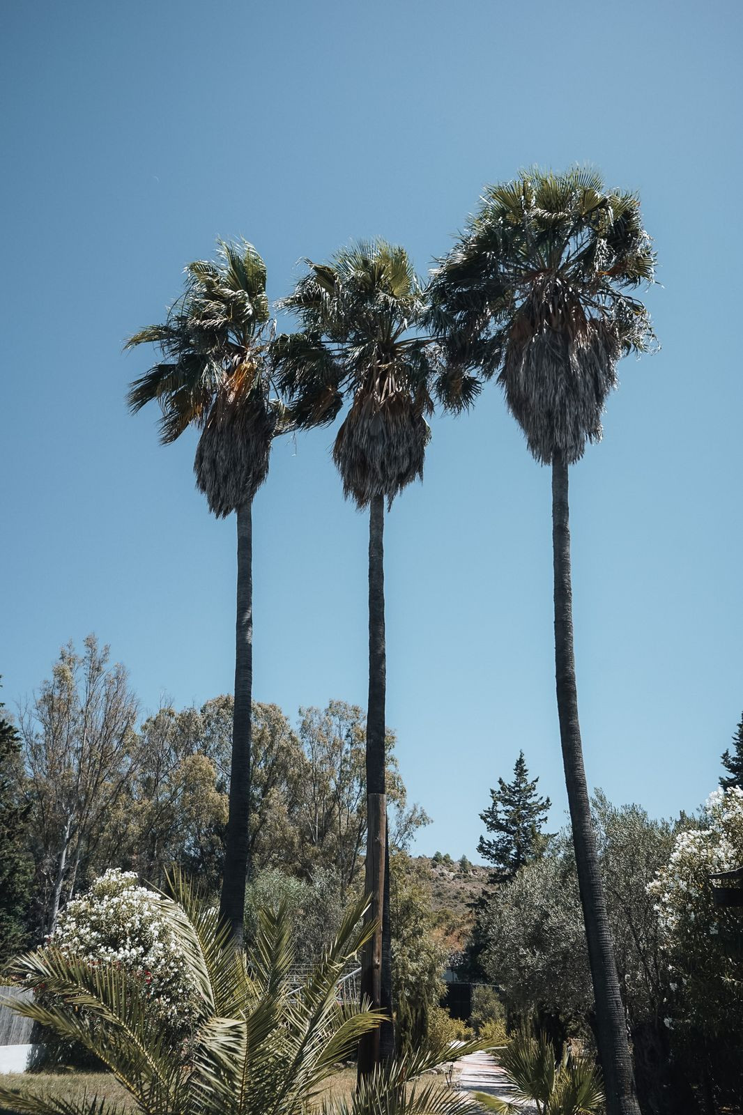 Property main view 35