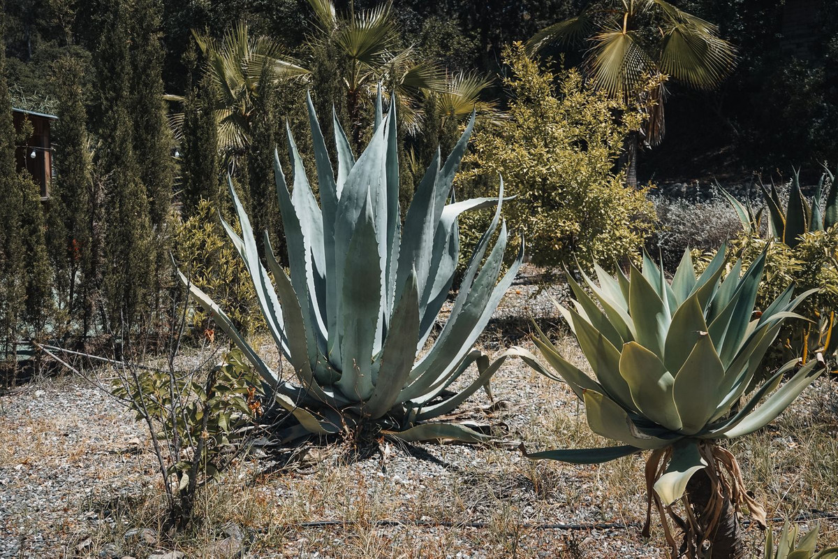 Property main view 47