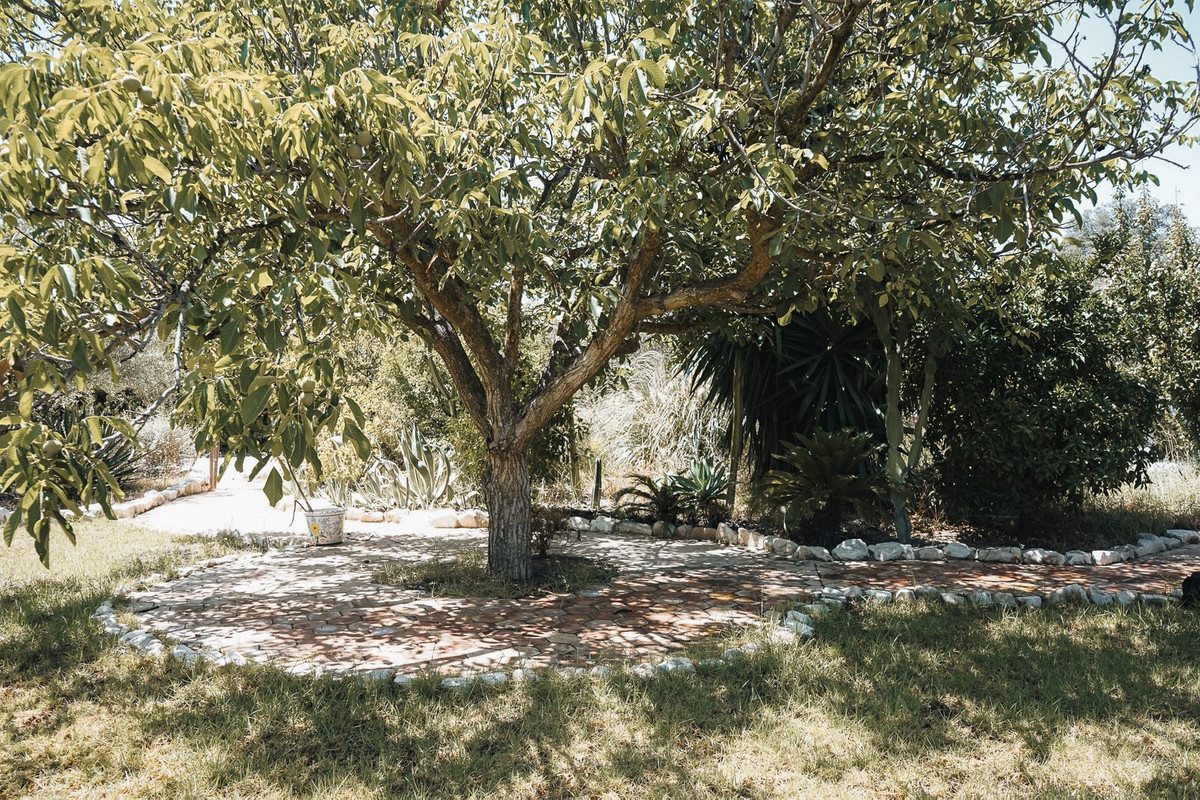 Property main view 50