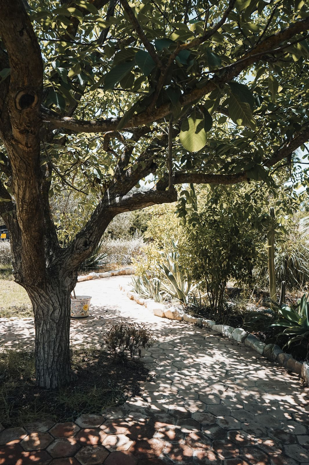 Property main view 51