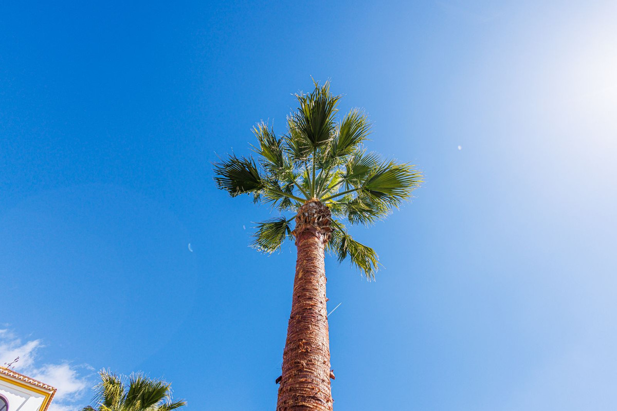 Property main view 76