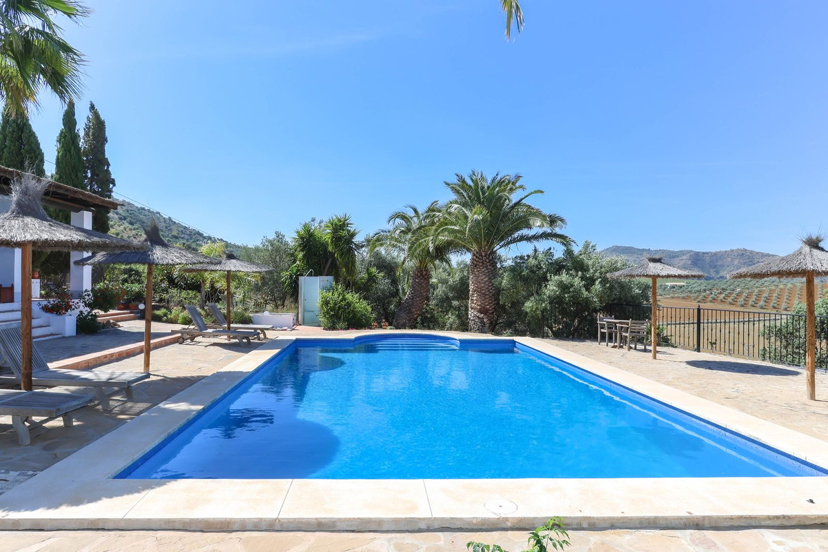 Property main view 33