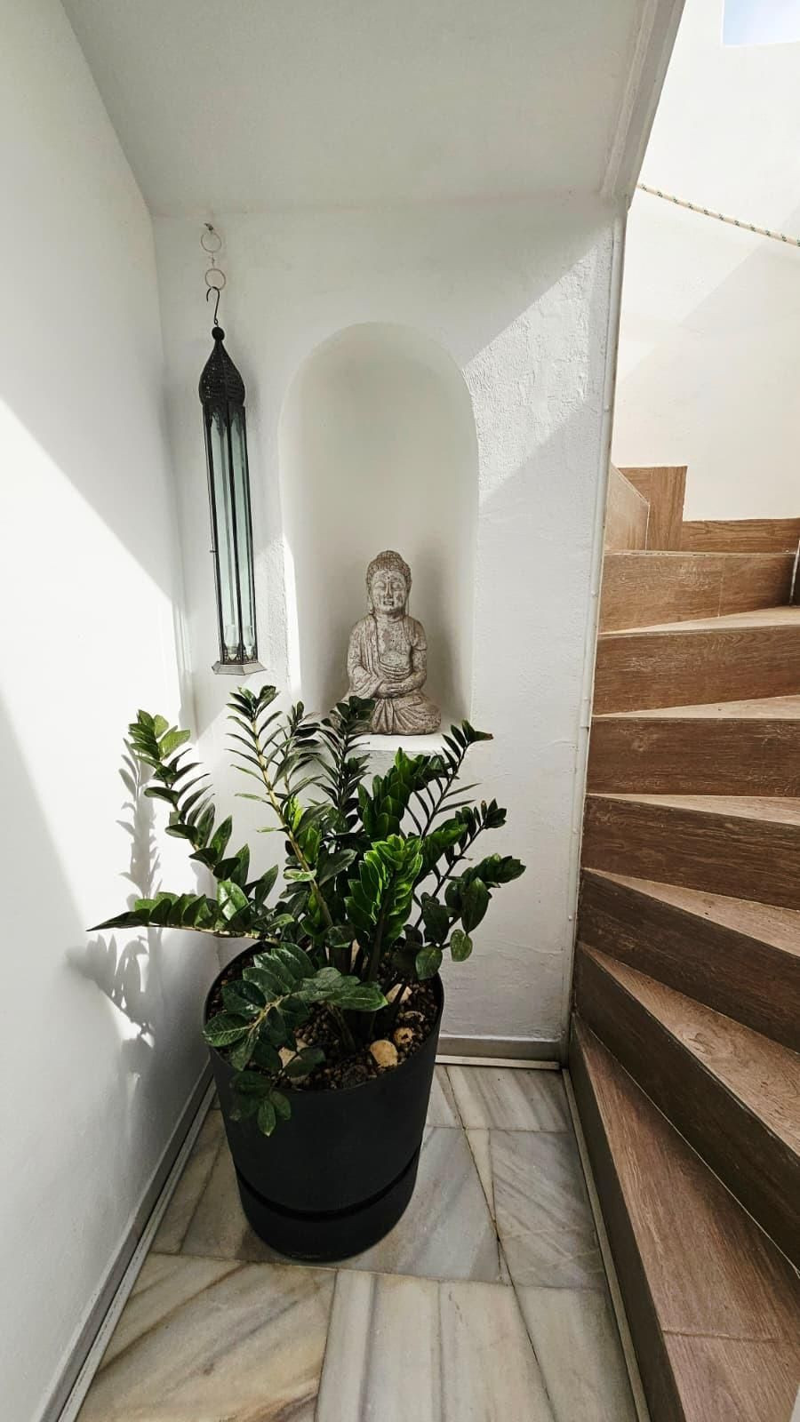 Winkel te koop in Bel Air | 3 slaapkamers H5478877