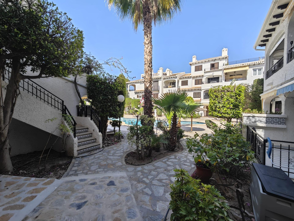 Commercieel te koop in Cabo Roig | 3 slaapkamers H5453623
