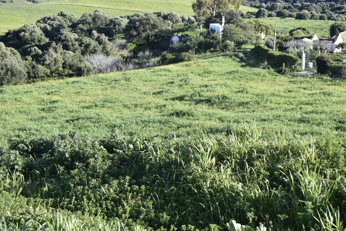 Property main view 21