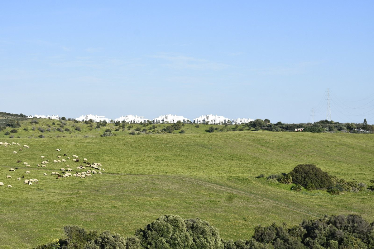 Property main view 9