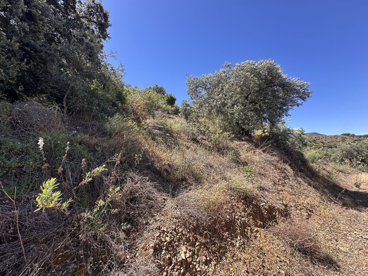 Property main view 18